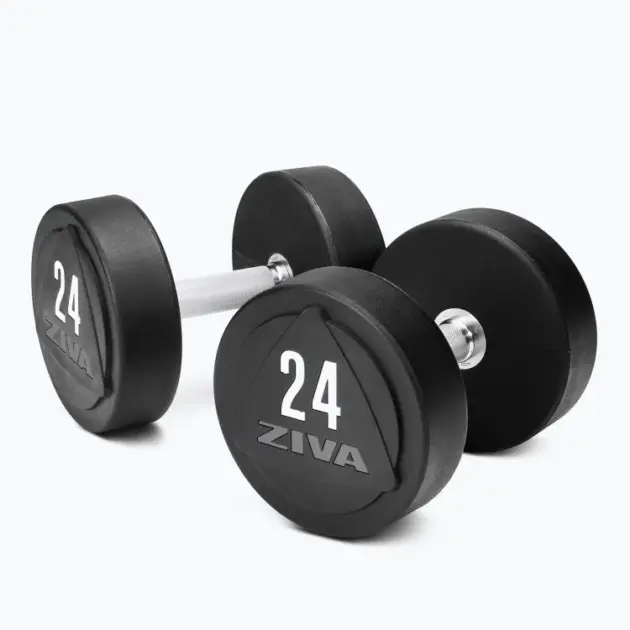 ZVO Solid Steel Urethane Studio Dumbbell Sets