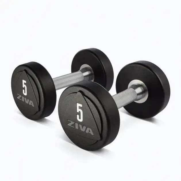 ZVO SOLID STEEL URETHANE STUDIO DUMBBELLS