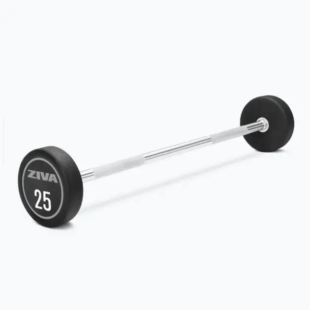 XP Urethane EZ Curl Barbells