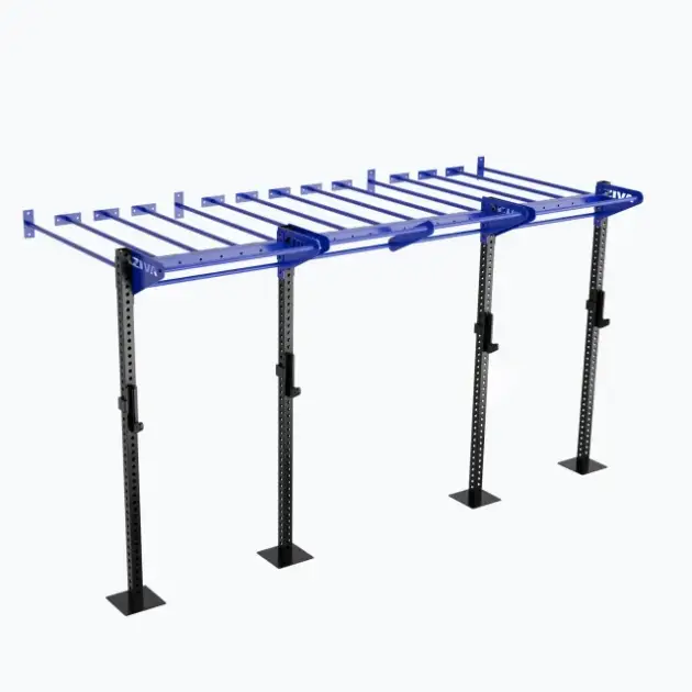 OUTDOOR 14' WALL-MOUNTED MONKEY BAR RIG