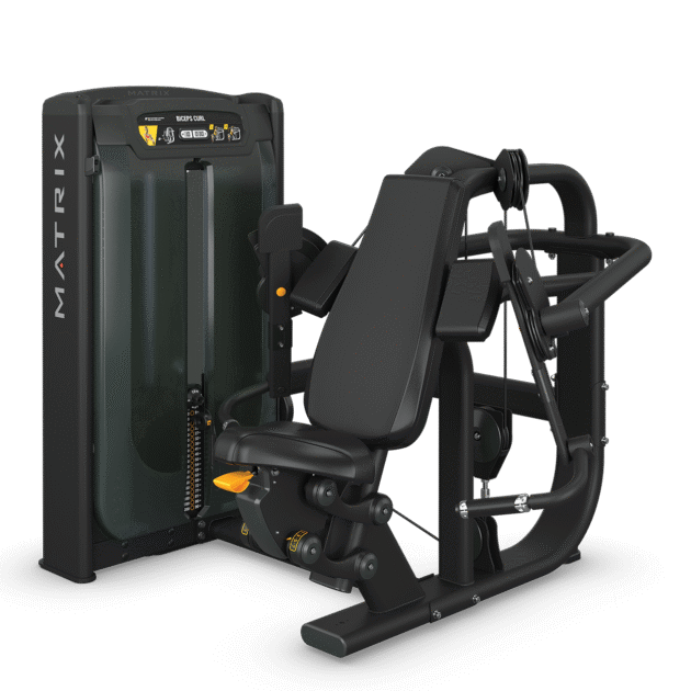 Independent Biceps Curl